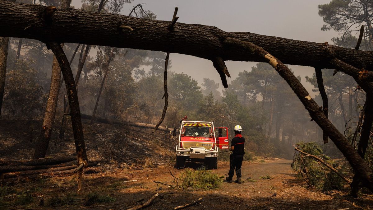 « S’échapper d’une crise familiale. »  Un pompier français allume des feux depuis des années